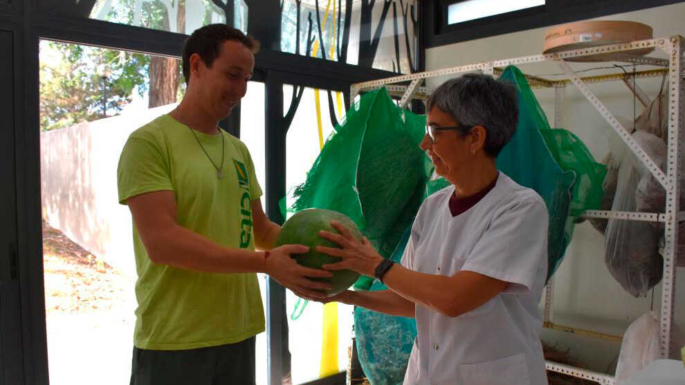 Diese Wassermelone wird seit dem 19. Jahrhundert in Zaragoza angebaut – CITA will sie bewahren