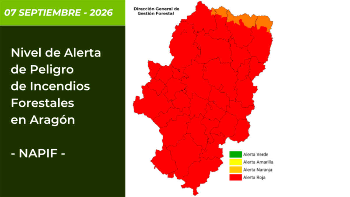 Fast ganz Aragón am Montag wegen Waldbrandgefahr in Alarmstufe Rot: Wind erhöht Risiko