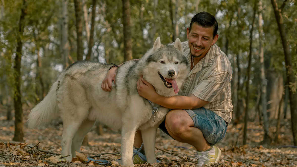 Hero, der Husky aus Saragossa, sieht nach monatelanger Krankheit wieder Licht: „Die Lungen sind fast frei“