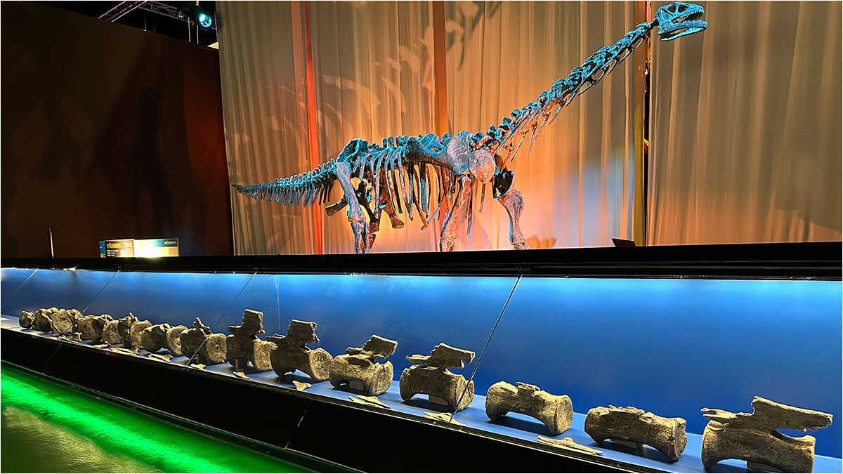 Der Gigant, der die Welt eroberte, lebte auch in Teruel: Erster Diplodocus Europas entdeckt