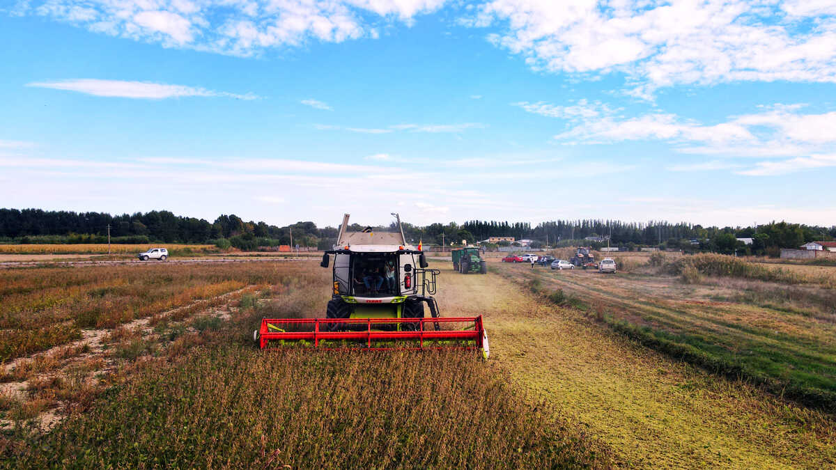 Landwirte wegen um 45 % gestiegenem Agrardiesel mit dem Rücken zur Wand