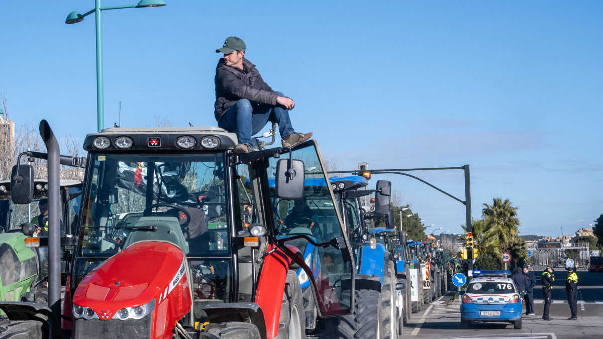 Landwirtschaft mobilisiert sich im Oktober, falls die Hilfen nicht ausreichen
