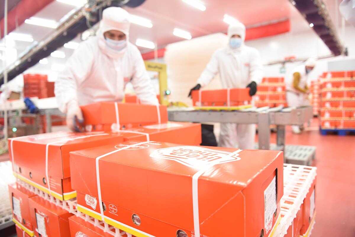 Aragoniens Internationalisierungspreise 2026: Diese fünf Unternehmen wurden ausgezeichnet