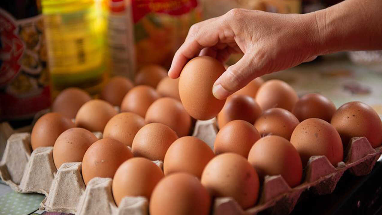 Nicht ein oder zwei pro Woche: So viele Eier essen die Menschen in Aragonien im Jahr