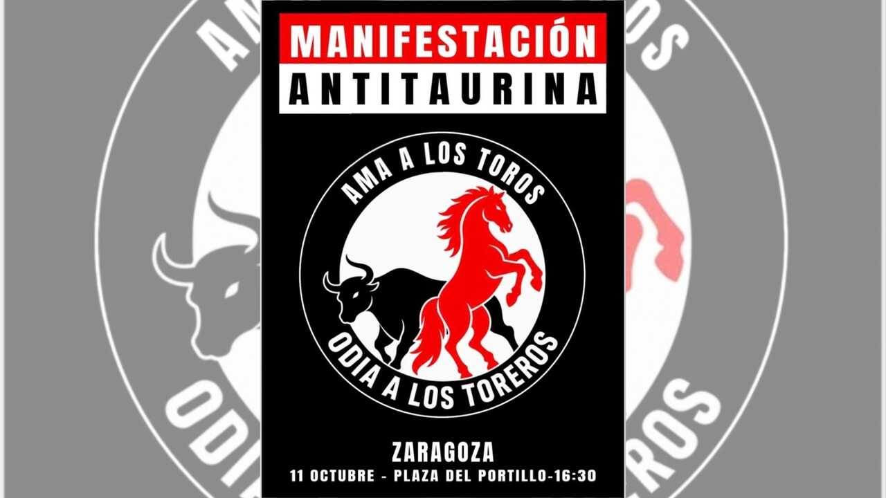 Zaragoza erlebt mitten in den Pilares Protest gegen den Stierkampf: „Feste dürfen nicht auf Tierleid beruhen“