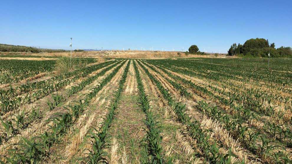 Wasser, Emissionen und Klimawandel: Das CITA bringt die großen Herausforderungen der aragonesischen Landwirtschaft nach Walqa