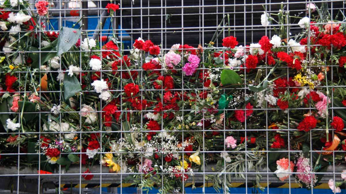 Was passiert mit den Blumen der Pilar-Ofrenda nach dem Abbau? Ihr Schicksal überrascht