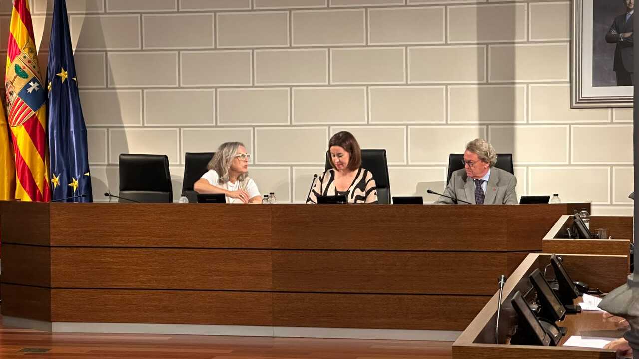DPZ-Plenum: Verhandlungen mit der Feuerwehr und Streit um Eintrittskarten für die Jungstiere