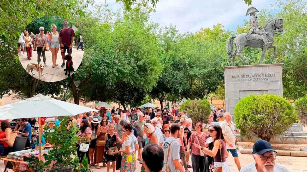Der Markt mit Blumen und Haustieren kehrt nach Zaragoza zurück: Workshops und Vorführungen