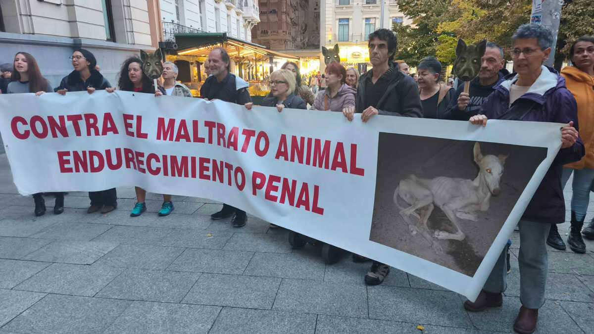 „Wir wollen Feste ohne Tierquälerei“: Rund 50 Menschen protestieren in Zaragoza gegen den Tod eines Wildschweins
