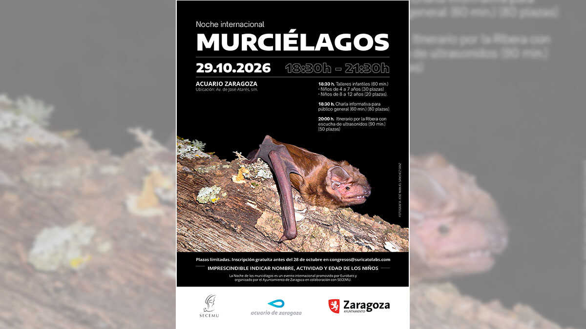 Zaragoza veranstaltet die Nacht der Fledermäuse, um über den Nutzen dieser Säugetiere zu informieren