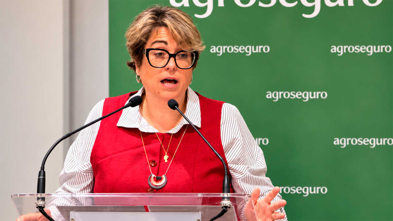Fördermittel für Agrarversicherungen in Aragón: 13 Millionen Euro im Jahr 2027